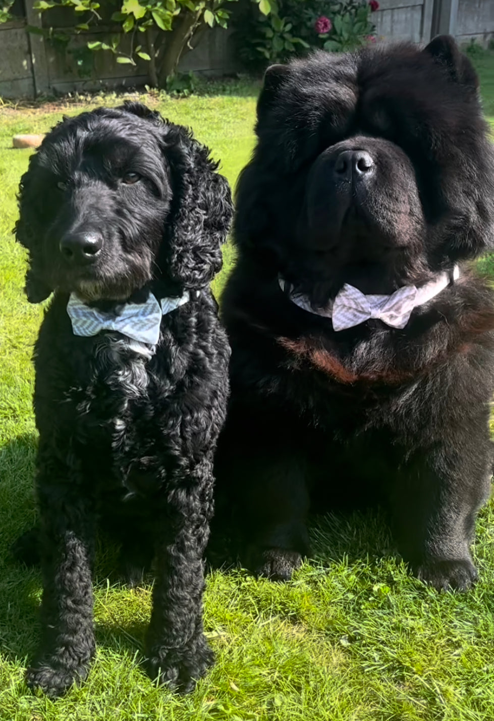Bow Tie - Pebble Grey