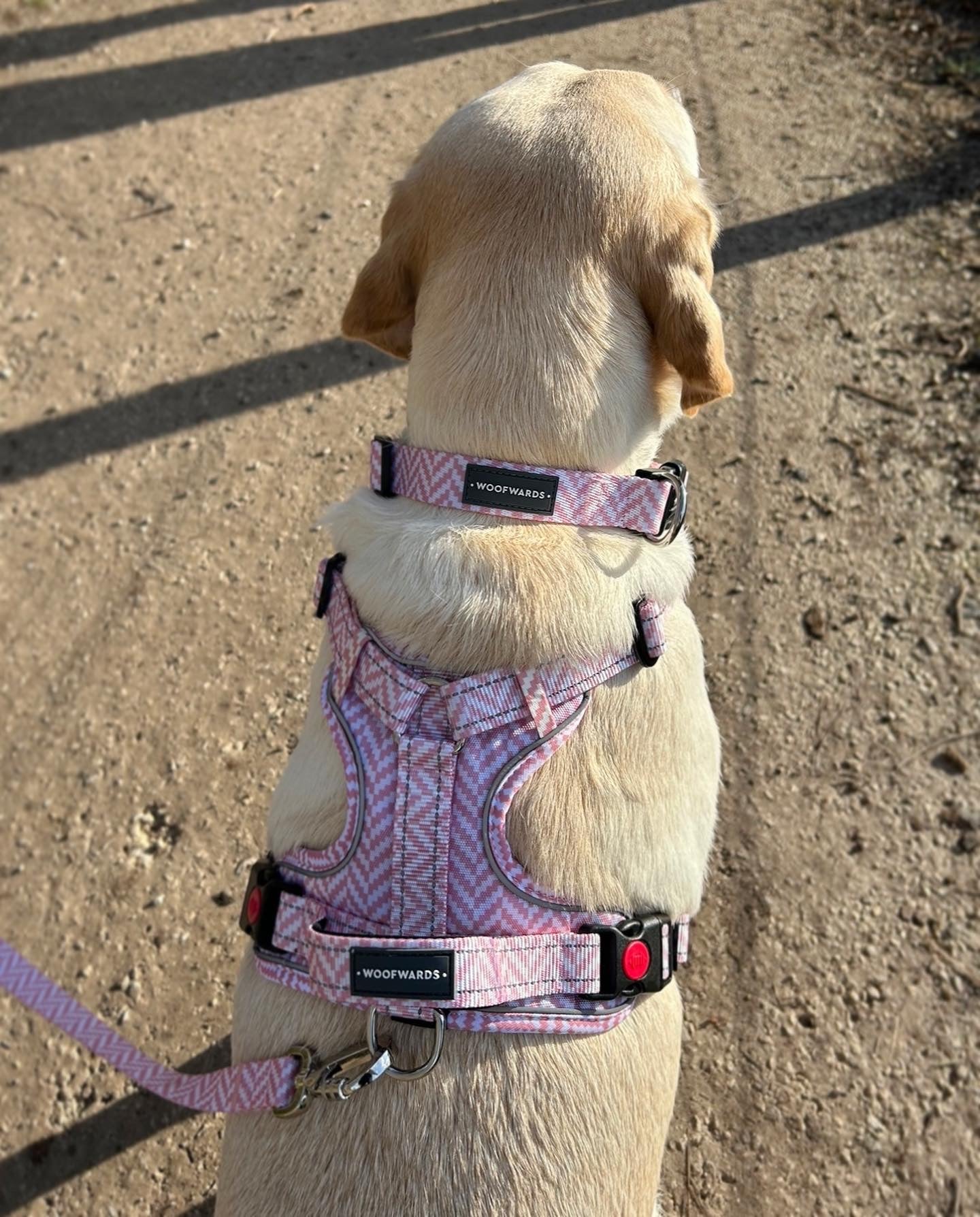 Collar - Pretty In Pink