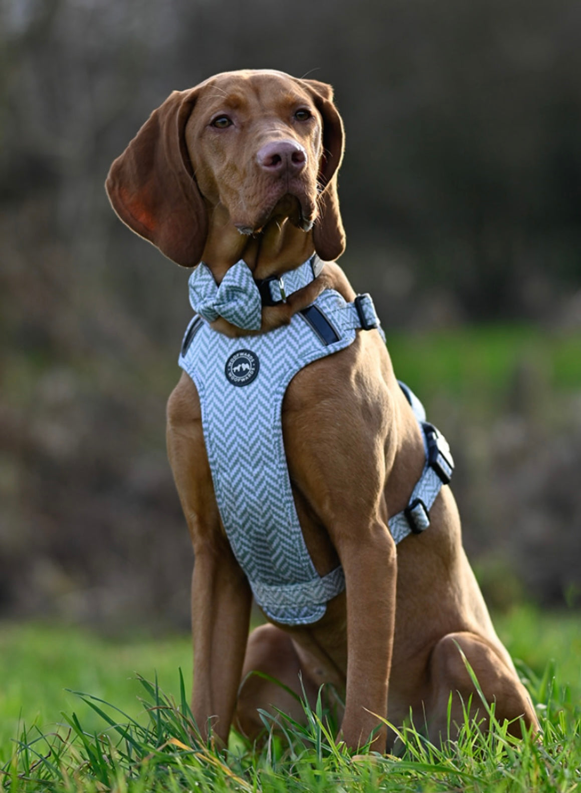 Bow Tie - Peppermint Green