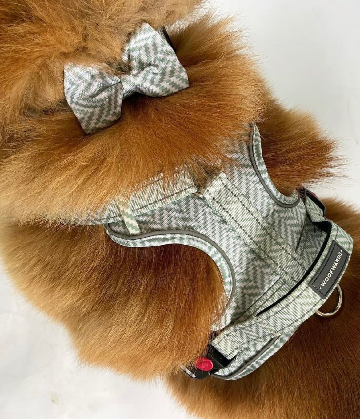 Bow Tie - Peppermint Green