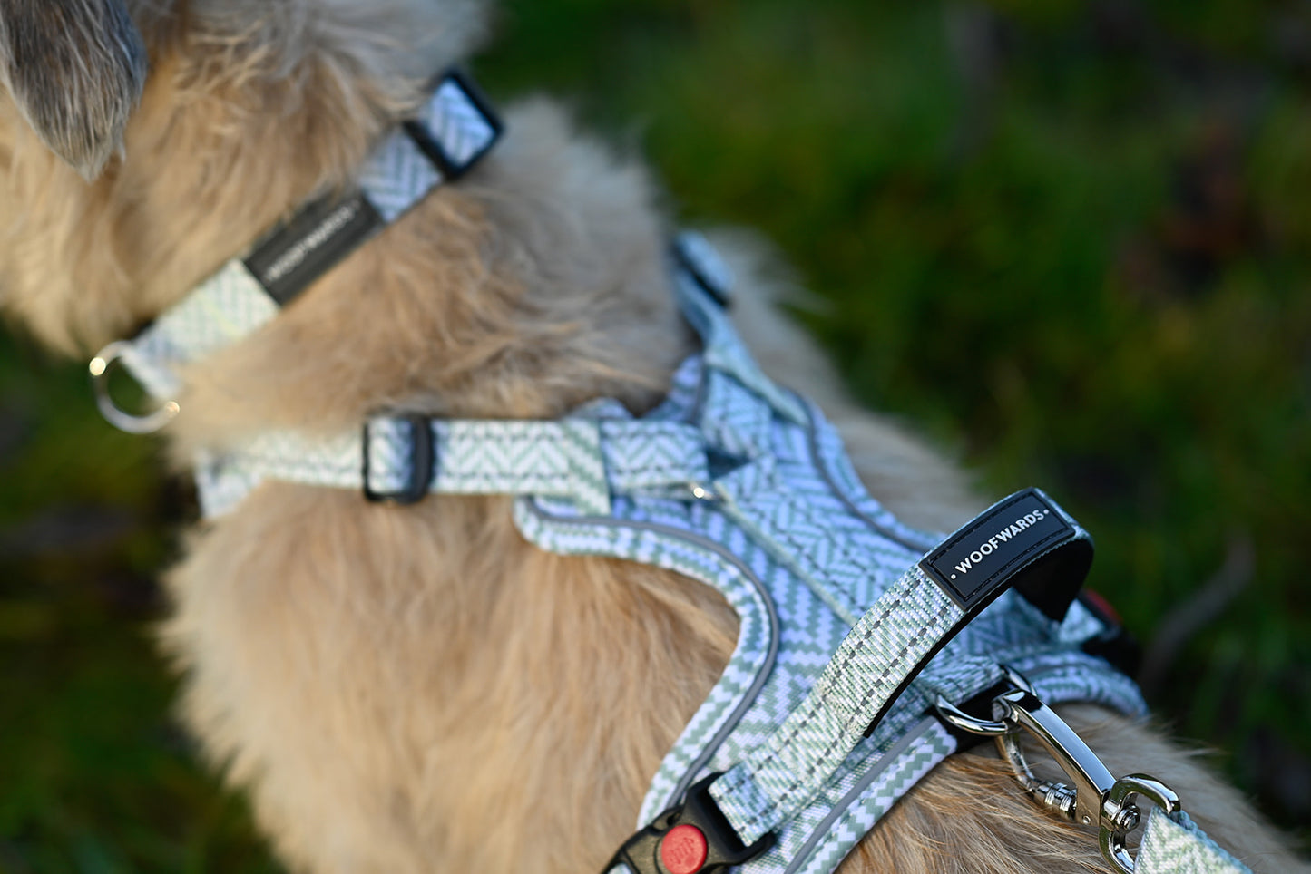 • Harnesses •