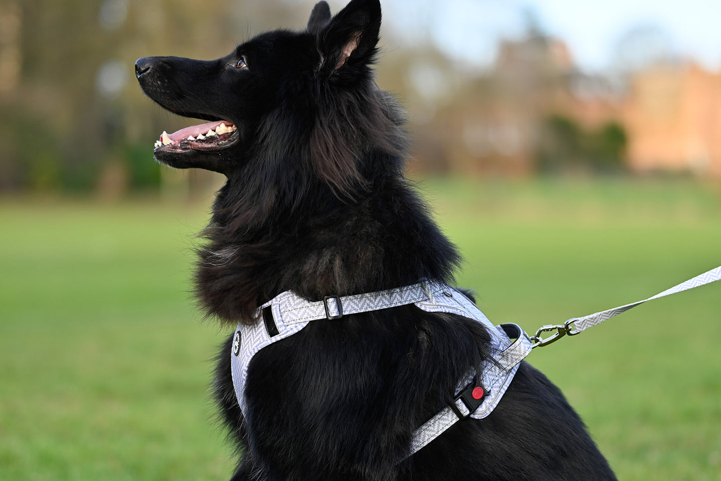 • Harnesses •