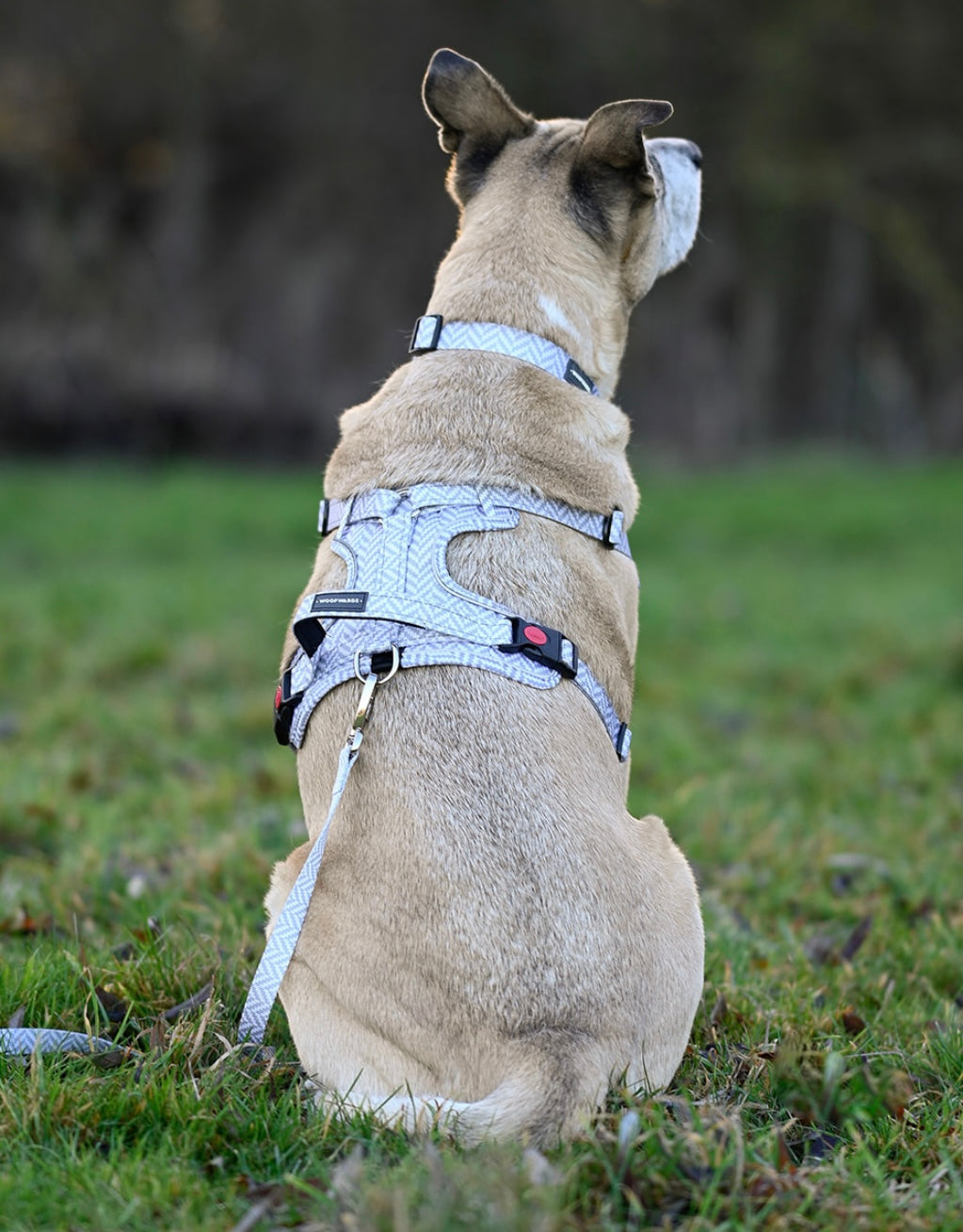 Harness Pebble Grey Woofwards